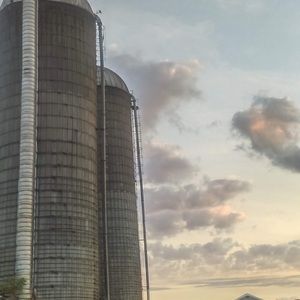 Meet your Posher, Shelby